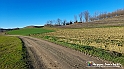 20230110_150818 - Dalla terra... il grano